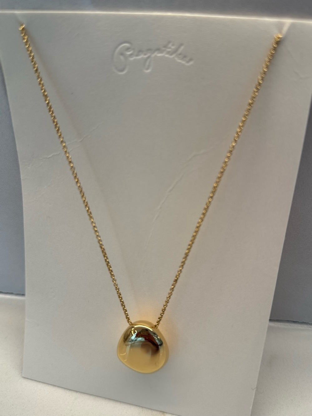 NWT Polished Gold Pendant Necklace - Minimalist Drop Charm